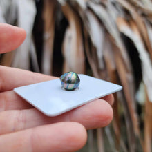 Load image into Gallery viewer, Civa Fiji Loose Saltwater Pearl - FJD$
