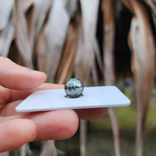 Load image into Gallery viewer, Civa Fiji Loose Saltwater Pearl - FJD$
