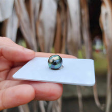 Load image into Gallery viewer, Civa Fiji Loose Saltwater Pearl - FJD$
