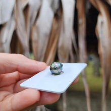 Load image into Gallery viewer, Civa Fiji Loose Saltwater Pearl - FJD$
