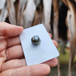 Civa Fiji Loose Saltwater Pearl - FJD$