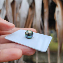 Load image into Gallery viewer, Civa Fiji Loose Saltwater Pearl - FJD$
