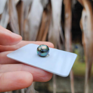 Civa Fiji Loose Saltwater Pearl - FJD$