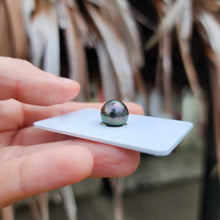 Load image into Gallery viewer, Civa Fiji Loose Saltwater Pearl - FJD$

