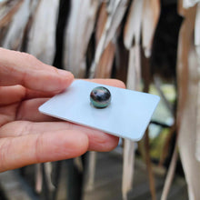 Load image into Gallery viewer, Civa Fiji Loose Saltwater Pearl - FJD$

