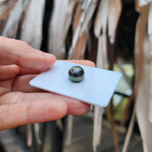 Civa Fiji Loose Saltwater Pearl - FJD$