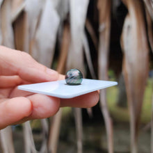 Load image into Gallery viewer, Civa Fiji Loose Saltwater Pearl - FJD$
