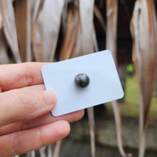 Load image into Gallery viewer, Civa Fiji Loose Saltwater Pearl - FJD$
