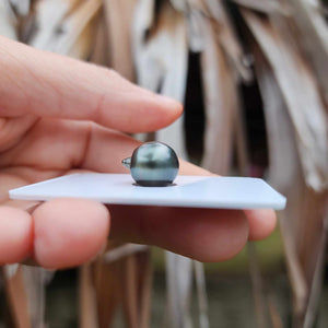 Civa Fiji Loose Saltwater Pearl - FJD$