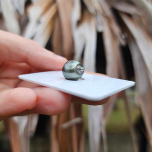 Civa Fiji Loose Saltwater Pearl - FJD$