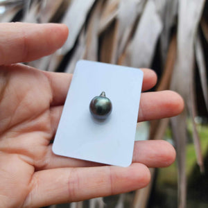 Civa Fiji Loose Saltwater Pearl - FJD$