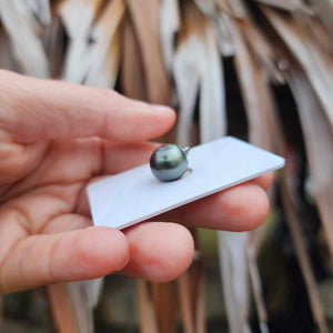 Civa Fiji Loose Saltwater Pearl - FJD$