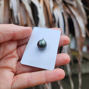 Civa Fiji Loose Saltwater Pearl - FJD$