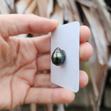 Load image into Gallery viewer, Civa Fiji Loose Saltwater Pearl - FJD$

