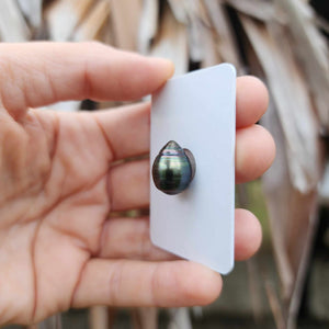 Civa Fiji Loose Saltwater Pearl - FJD$