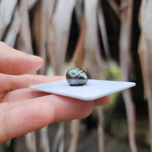 Load image into Gallery viewer, Civa Fiji Loose Saltwater Pearl - FJD$
