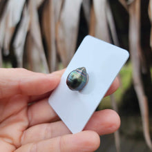 Load image into Gallery viewer, Civa Fiji Loose Saltwater Pearl - FJD$
