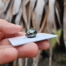 Load image into Gallery viewer, Civa Fiji Loose Saltwater Pearl - FJD$
