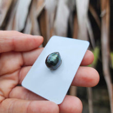 Load image into Gallery viewer, Civa Fiji Loose Saltwater Pearl - FJD$
