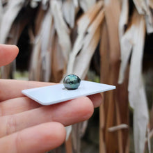 Load image into Gallery viewer, Civa Fiji Loose Saltwater Pearl - FJD$
