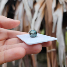 Load image into Gallery viewer, Civa Fiji Loose Saltwater Pearl - FJD$

