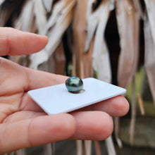 Load image into Gallery viewer, Civa Fiji Loose Saltwater Pearl - FJD$
