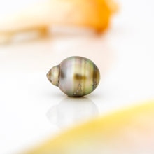 Load image into Gallery viewer, Civa Fiji Loose Saltwater Pearl - FJD$
