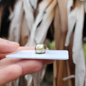 Civa Fiji Loose Saltwater Pearl - FJD$