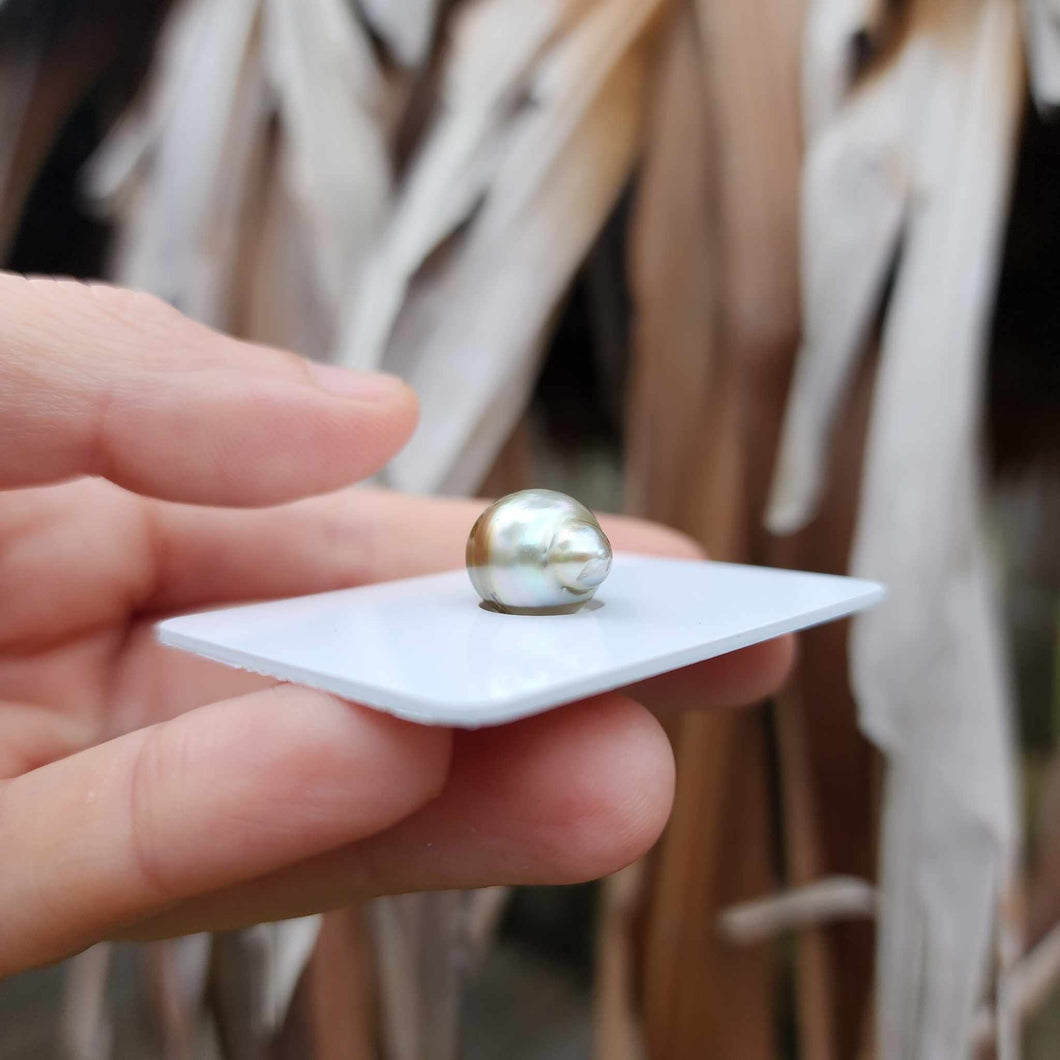 Civa Fiji Loose Saltwater Pearl - FJD$