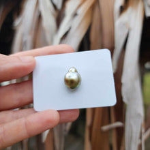 Load image into Gallery viewer, Civa Fiji Loose Saltwater Pearl - FJD$
