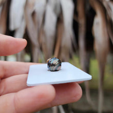 Load image into Gallery viewer, Civa Fiji Loose Saltwater Pearl - FJD$
