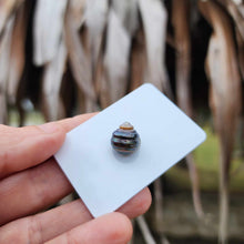 Load image into Gallery viewer, Civa Fiji Loose Saltwater Pearl - FJD$
