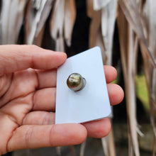 Load image into Gallery viewer, Civa Fiji Loose Saltwater Pearl - FJD$
