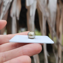 Load image into Gallery viewer, Civa Fiji Loose Saltwater Pearl - FJD$
