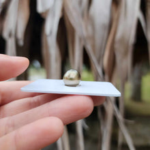 Load image into Gallery viewer, Civa Fiji Loose Saltwater Pearl - FJD$
