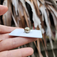 Load image into Gallery viewer, Civa Fiji Loose Saltwater Pearl - FJD$
