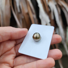 Load image into Gallery viewer, Civa Fiji Loose Saltwater Pearl - FJD$
