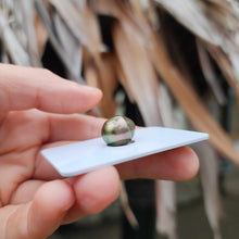 Load image into Gallery viewer, READY TO SHIP Civa Fiji Saltwater Pearl Bangle - 14k Gold Fill FJD$
