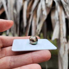 Load image into Gallery viewer, READY TO SHIP Civa Fiji Saltwater Pearl Bangle - 14k Gold Fill FJD$

