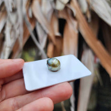 Load image into Gallery viewer, Civa Fiji Loose Saltwater Pearl - FJD$
