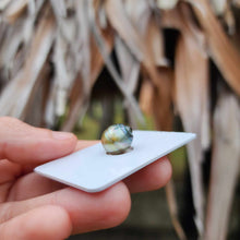 Load image into Gallery viewer, Civa Fiji Loose Saltwater Pearl - FJD$
