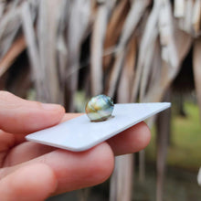 Load image into Gallery viewer, Civa Fiji Loose Saltwater Pearl - FJD$

