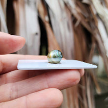 Load image into Gallery viewer, Civa Fiji Loose Saltwater Pearl - FJD$
