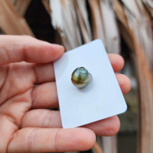 Civa Fiji Loose Saltwater Pearl - FJD$