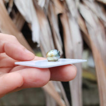 Load image into Gallery viewer, Civa Fiji Loose Saltwater Pearl - FJD$
