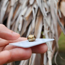 Load image into Gallery viewer, READY TO SHIP Civa Fiji Saltwater Pearl Bangle - 14k Gold Fill FJD$
