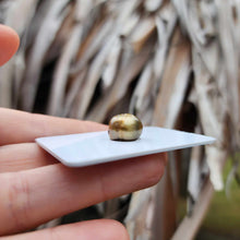 Load image into Gallery viewer, READY TO SHIP Civa Fiji Saltwater Pearl Bangle - 14k Gold Fill FJD$

