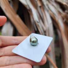 Load image into Gallery viewer, Civa Fiji Loose Saltwater Pearl - FJD$
