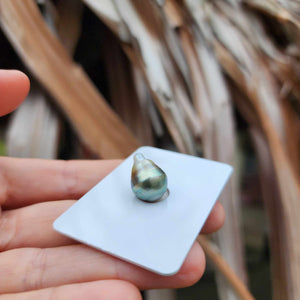 Civa Fiji Loose Saltwater Pearl - FJD$