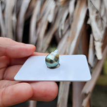 Load image into Gallery viewer, Civa Fiji Loose Saltwater Pearl - FJD$
